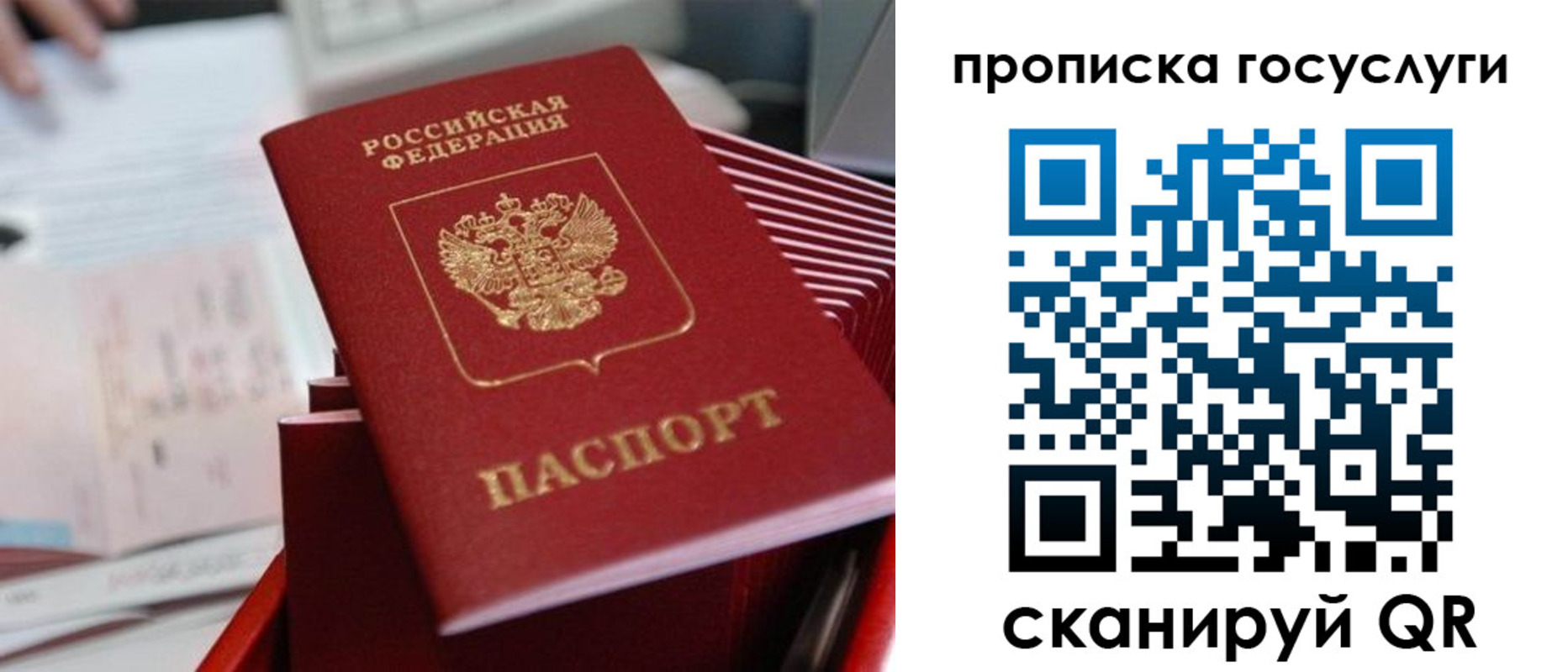 прописка законно в Сясьстрое